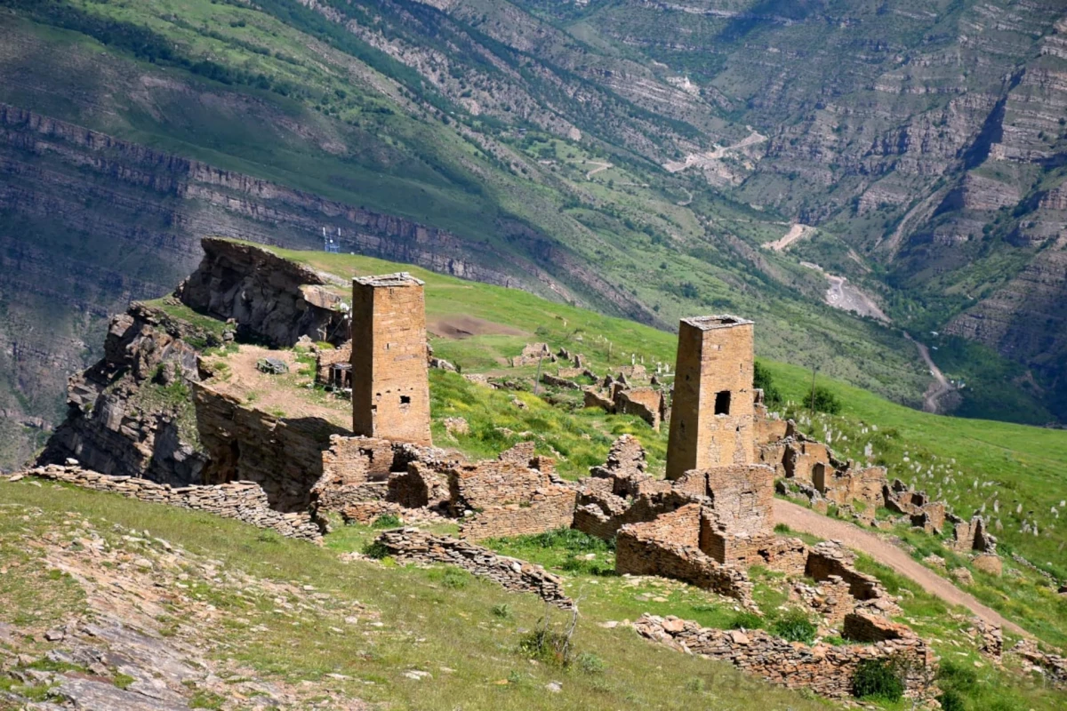 Гоорские башни