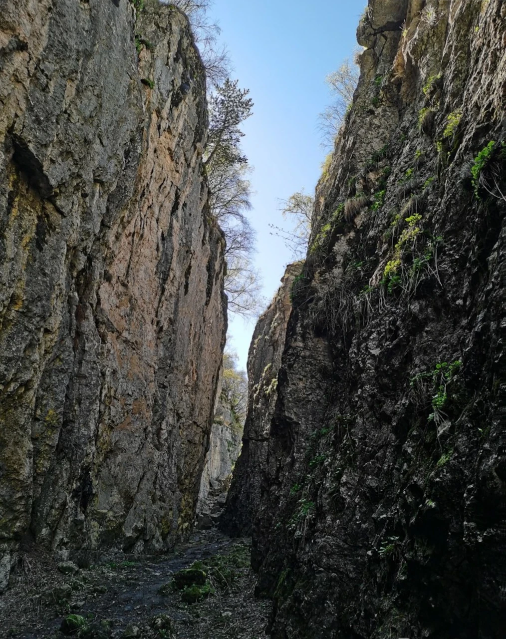 Каменная чаша (Матлас)
